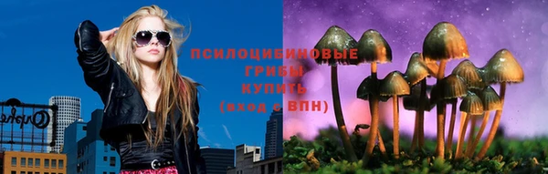 ПСИЛОЦИБИНОВЫЕ ГРИБЫ Балахна
