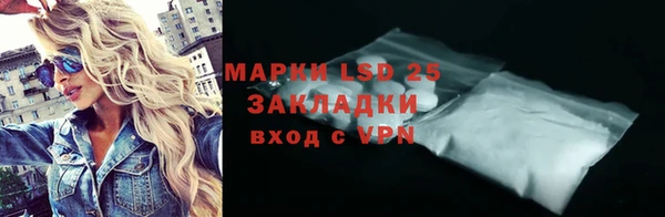 ПСИЛОЦИБИНОВЫЕ ГРИБЫ Балахна