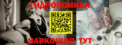 apvp Ярославль