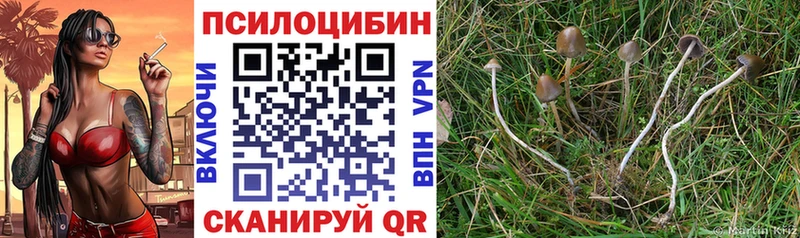 Галлюциногенные грибы MAGIC MUSHROOMS Нерюнгри