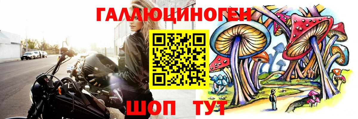Галлюциногенные грибы MAGIC MUSHROOMS  Галлюциногенные грибы прущие грибы  Нерюнгри  Вход с VPN 